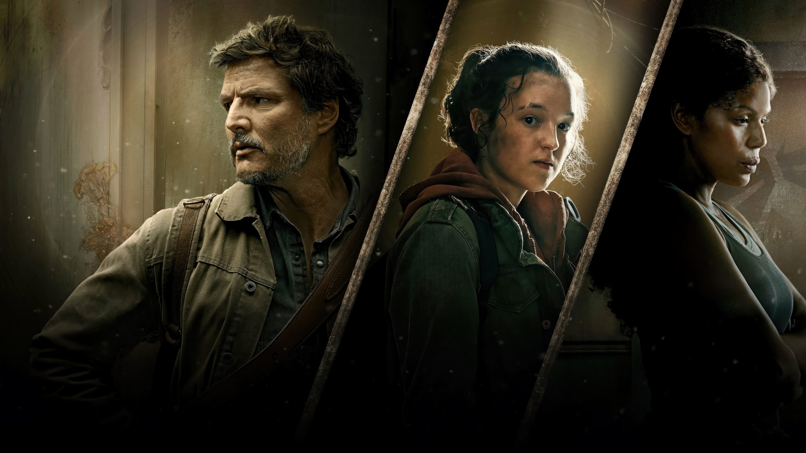 سریال  The Last of Us